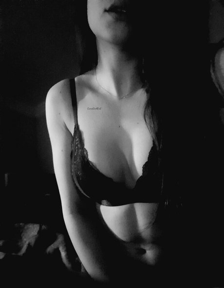 cerenbal free pornstar sex picture