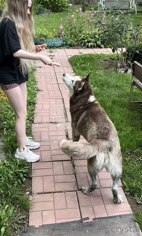 angel crystal star adult picture