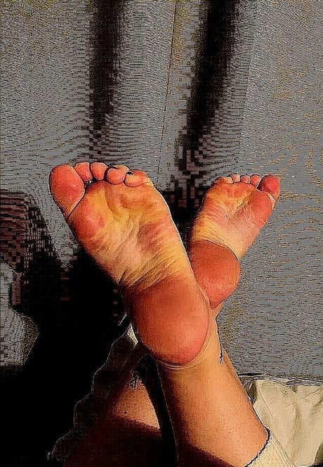 higharches bella beautiful star galleries