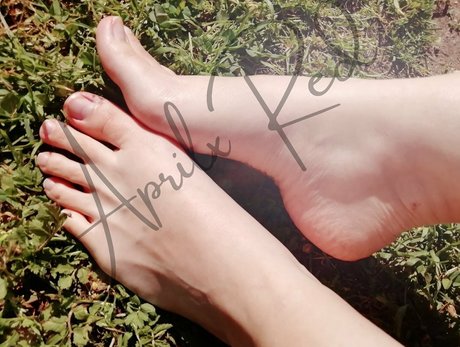 aprilxredfree pretty star archive