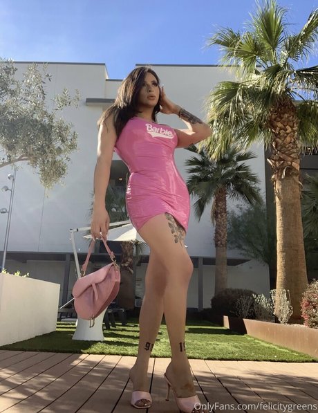 thefelicityfox free model archive