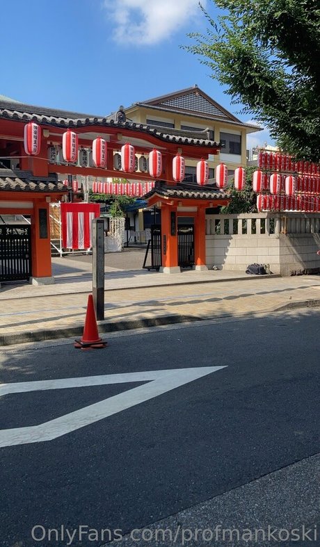 profmankoski adult model photo