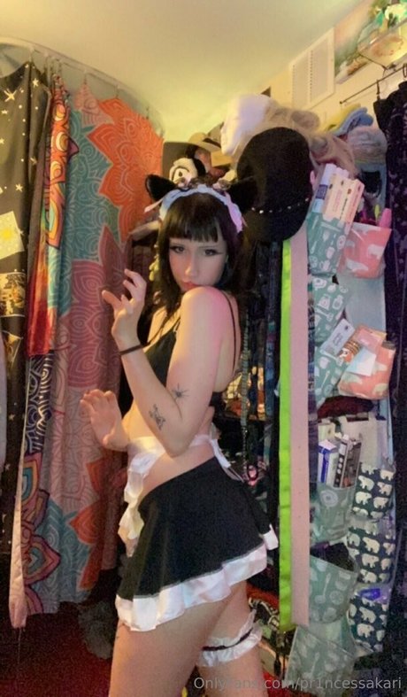 pr1ncessakari model erotic image