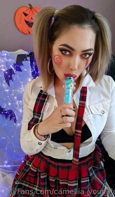 camellia home nice star img