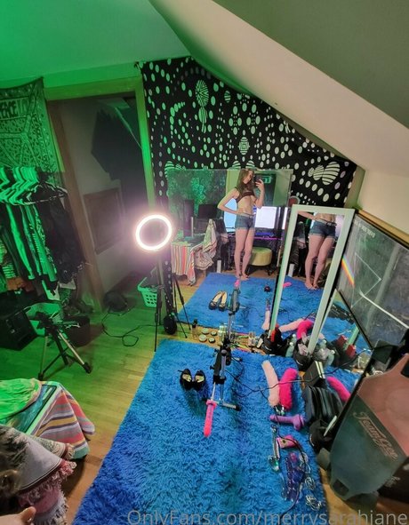 merrysarahjane star top picture