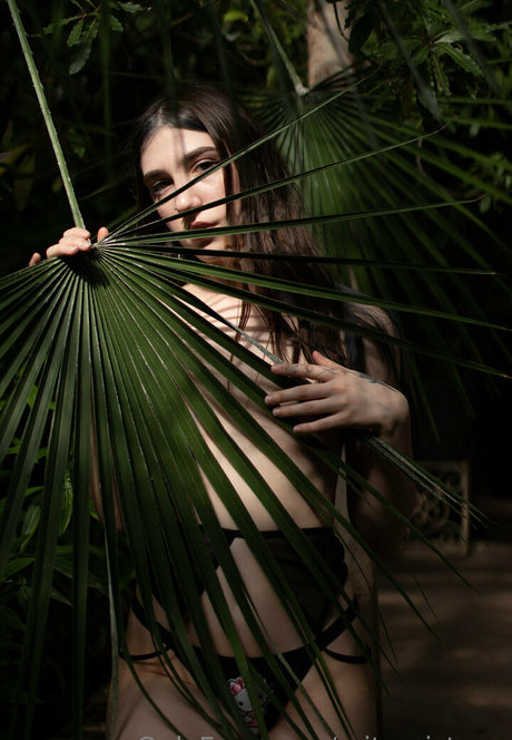 baby and dollyy pornographic model img