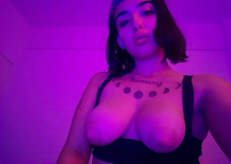 venussandreitax star best photo