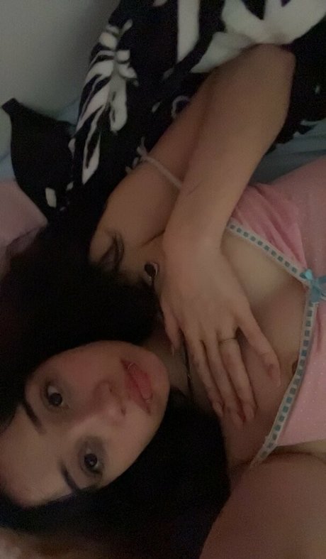 Pubbypie high quality pornstar archive