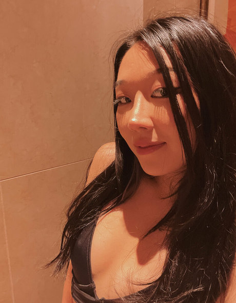 leesherfree art star images