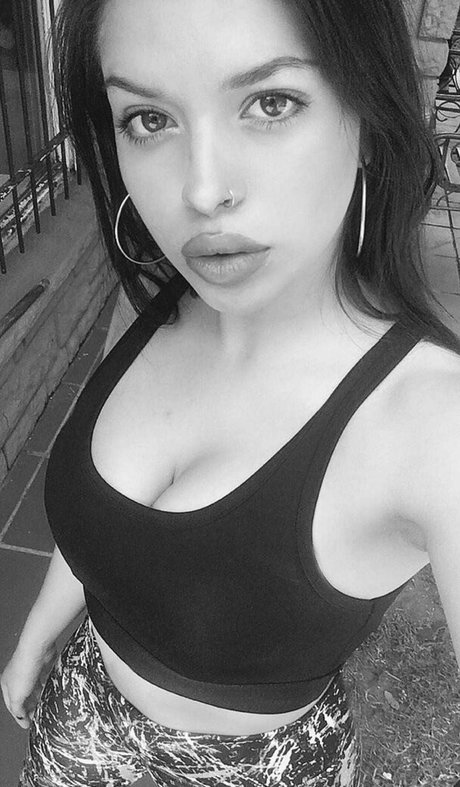 Nosoyluksi model art image