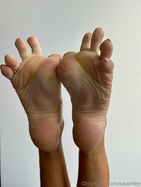 swanfee model adult picture