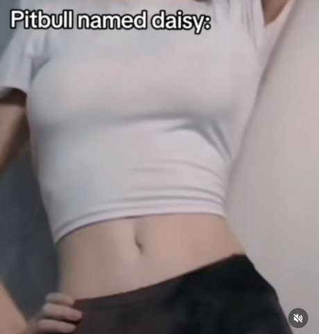 Danny Universe naked pornstar pics