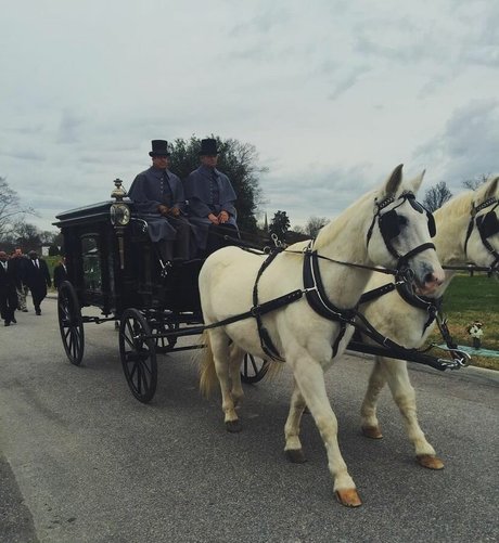 Logan Brickhouse model sexy images