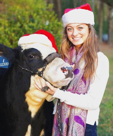 Logan Brickhouse nude star pic