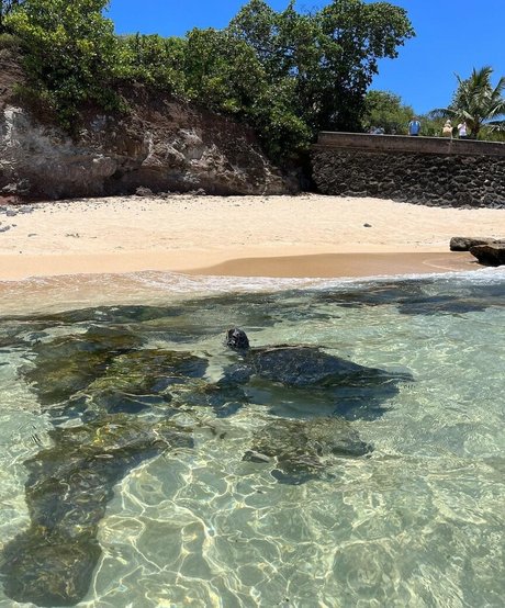 thick teen onlyfans sexy galleries