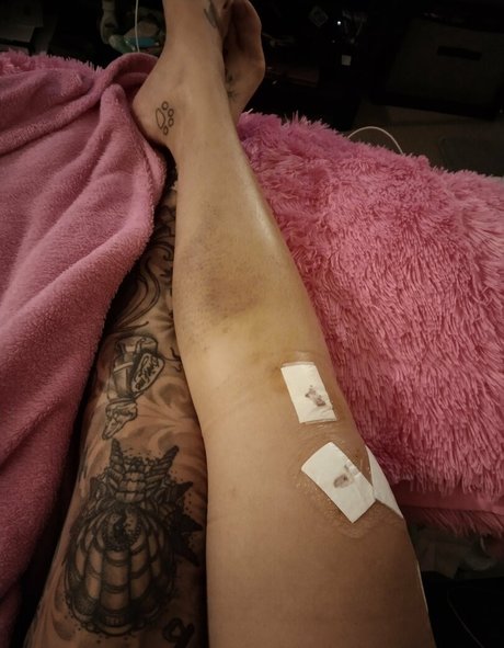 gigirydes free star pictures