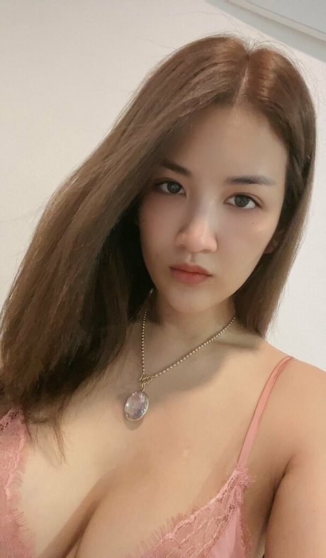 treenetpaenpet art star galleries