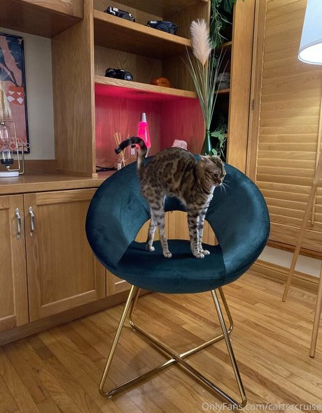 cartercruise art actress archive