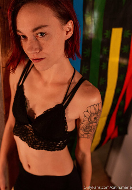 cat h marie star nice picture