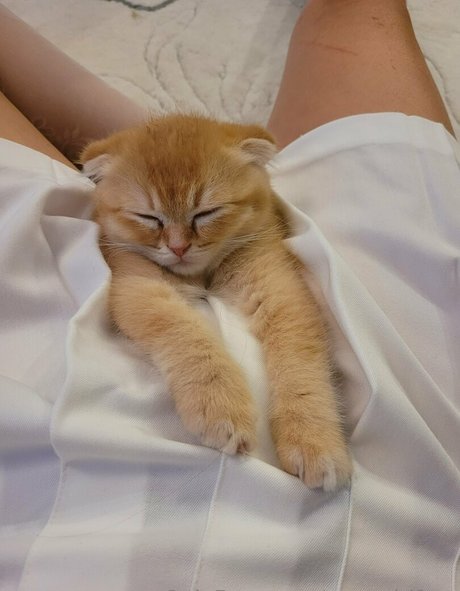 yogagirlfree model sexy images