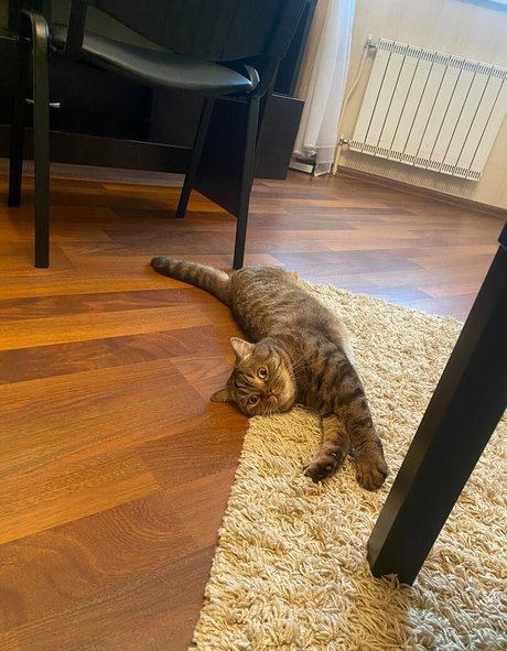 muscle nude onlyfans erotic archive