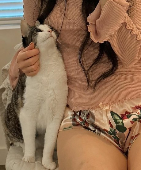 daisydslee star adult galleries