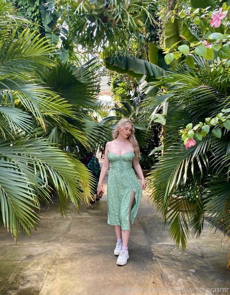 blissfulwhisperasmr xxx star pics