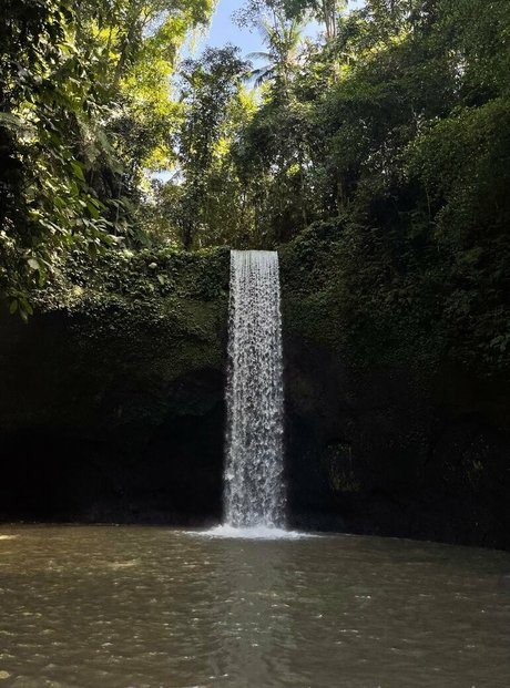 pppoisonnn ivy pornstar sexy images