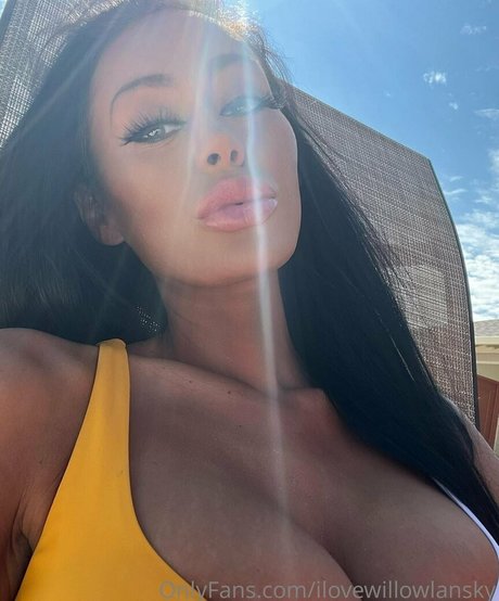 ilovewillowlansky star top photo