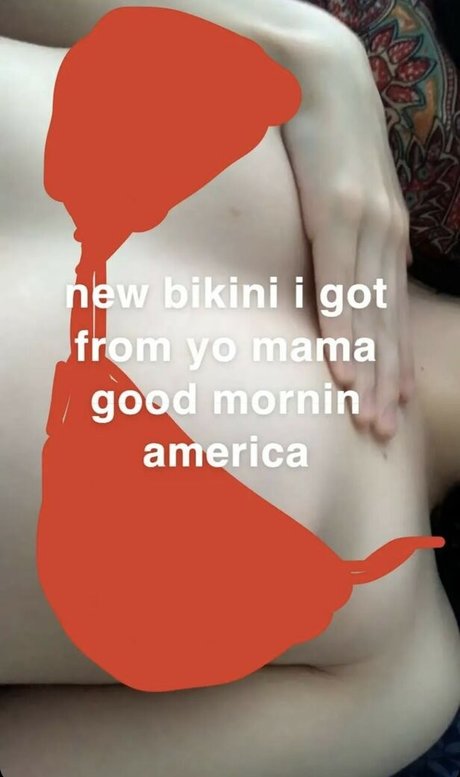 Havlcv beautiful star galleries