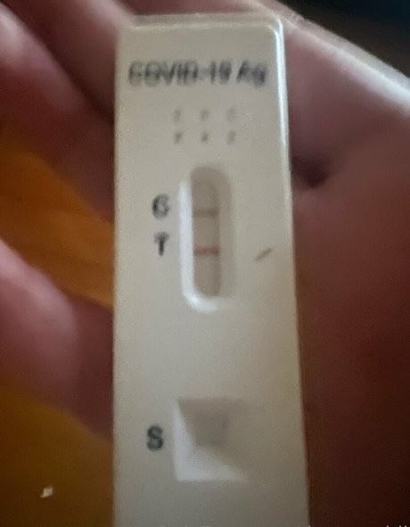 doctorsybil star free galleries