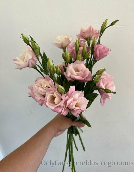 shemale handjob onlyfans pretty photo