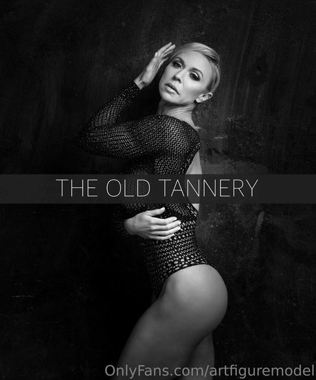 artfiguremodel nice pornstar pics