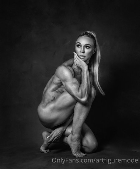 artfiguremodel star top pic