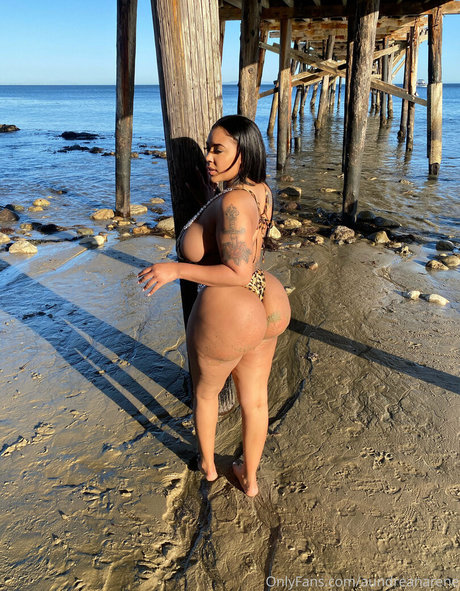 aundreanarene star exclusive gallery