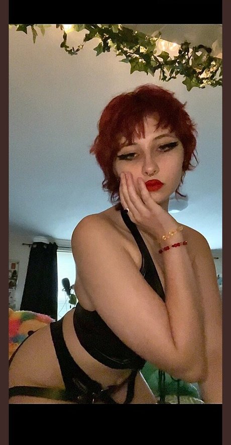 MothGardener high quality model galleries