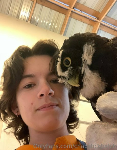 natural pawg onlyfans free porn archive