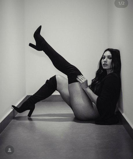 Francrispim model best archive