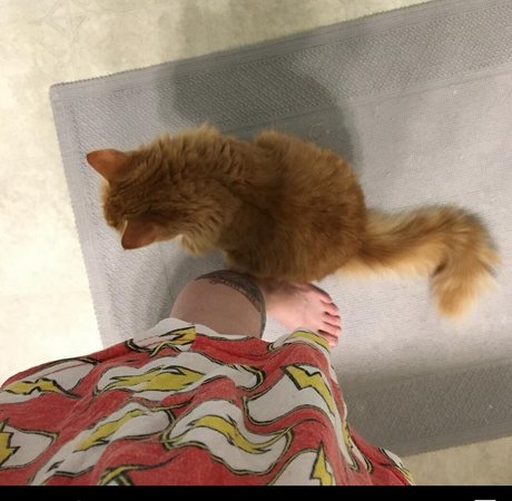 asian big cock onlyfans hot nude image