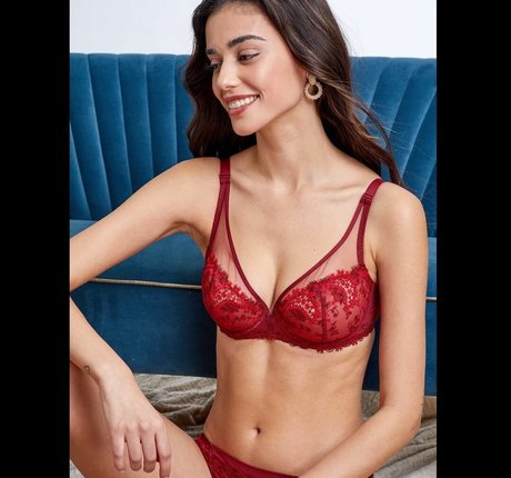 Hila Meir art star picture