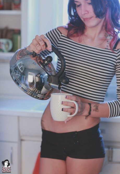 _stardust_ model nice archive