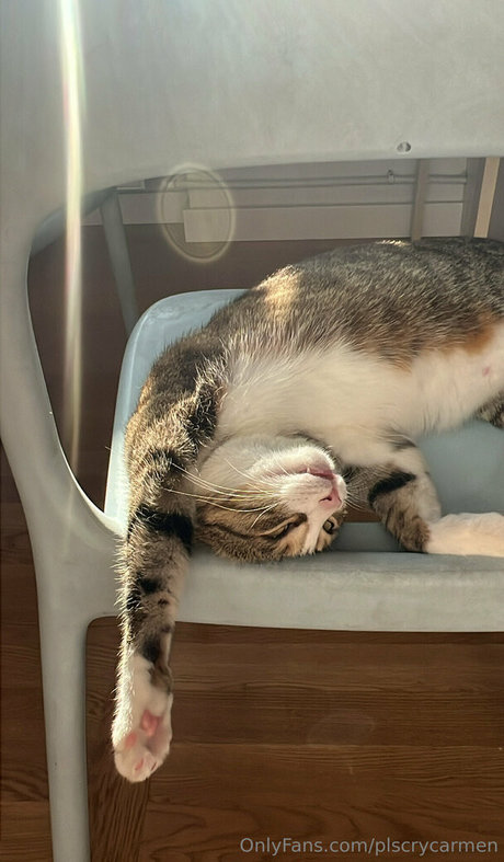 plscrycarmen naked actress gallery