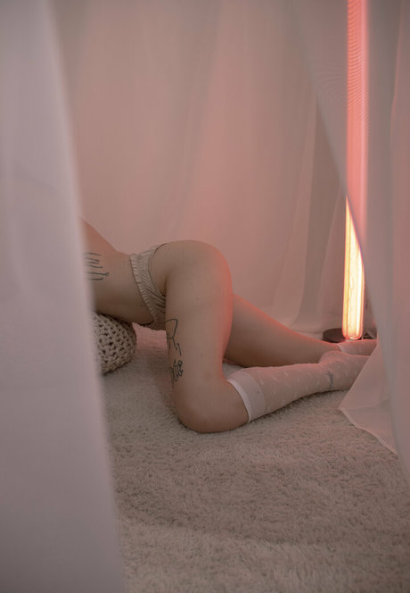 disimaria star porn archive