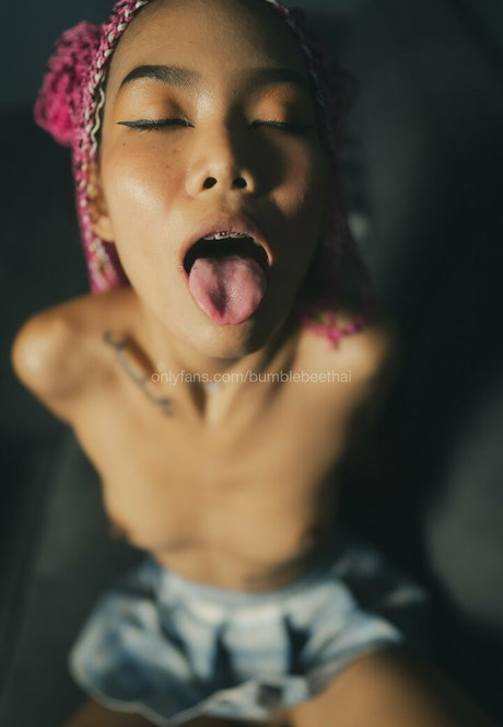 bumblebeethai beautiful star archive