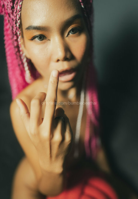 bumblebeethai model best picture