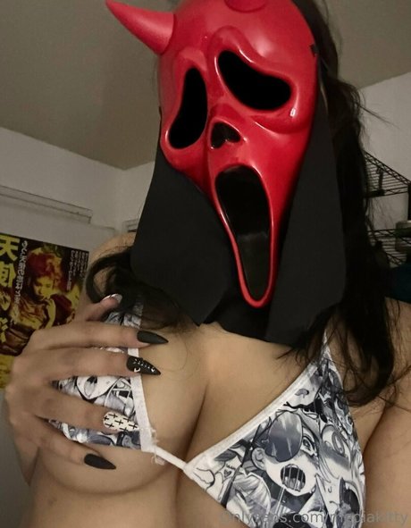 mediakitty star exclusive image