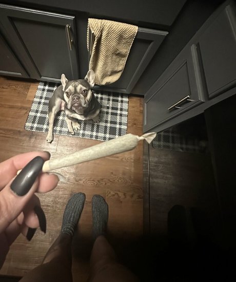 horrorwh0re star sex image