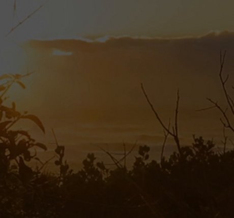 Ava Little art actress picture