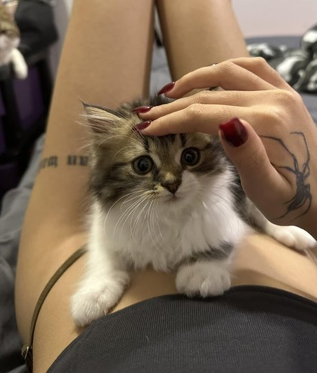 Gupgiiiiift art pornstar archive