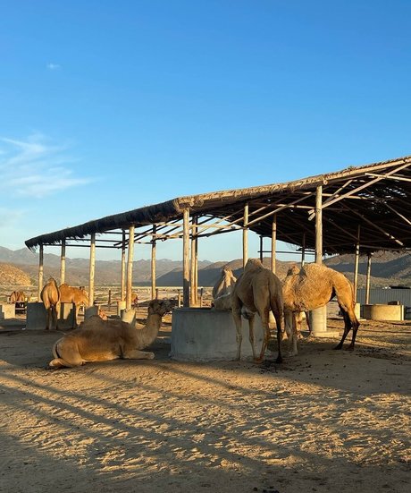 brazilian big tits onlyfans free xxx img